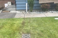 IMG_2613