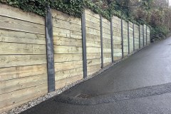 IMG_4702