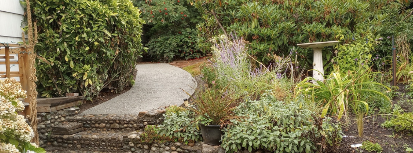 a path in a garden full of green plants