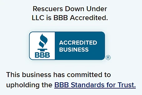 BBB accreditation image that says, 